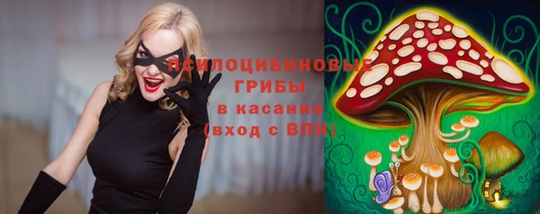 spice Алексин