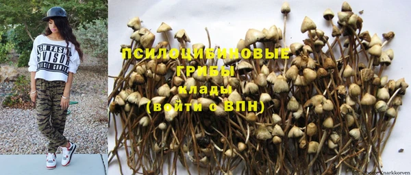 spice Алексин