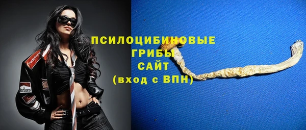 spice Алексин