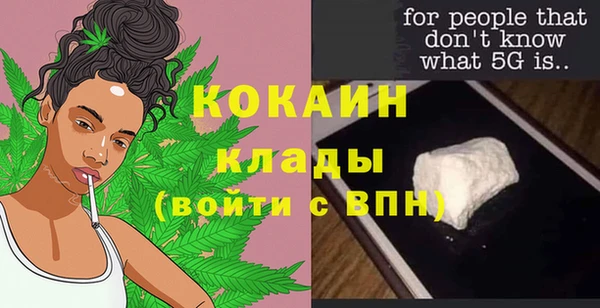 прущие грибы Карталы