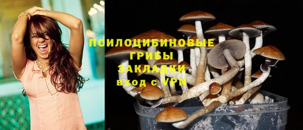 spice Алексин