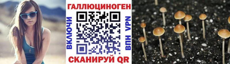 Галлюциногенные грибы ЛСД Омск