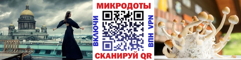 darknet клад  Омск  Галлюциногенные грибы ЛСД 