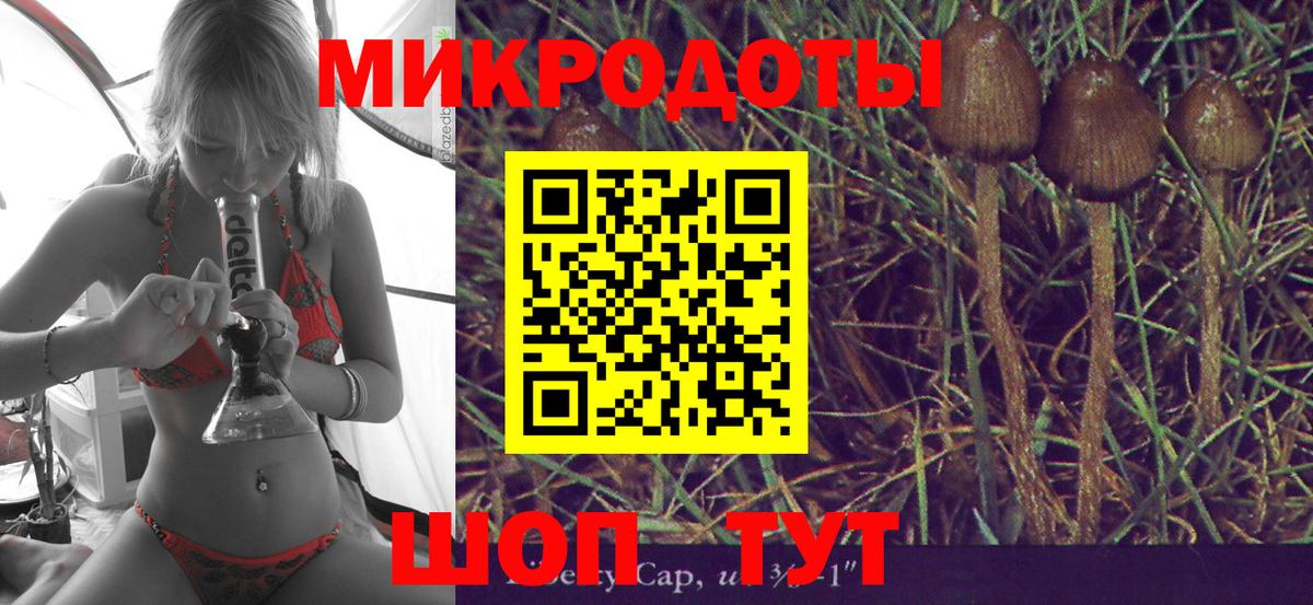 Псилоцибиновые грибы GOLDEN TEACHER  Галлюциногенные грибы мухоморы  Омск  Вход с VPN 
